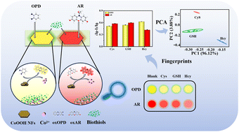 Graphical abstract: A fluorescence sensor array for biothiol detection and disease identification based on a CoOOH nanoflake triggered dual-color fluorescence system