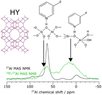 Graphical abstract: Exposing active sites in zeolites with fluoropyridines as NMR probe molecules