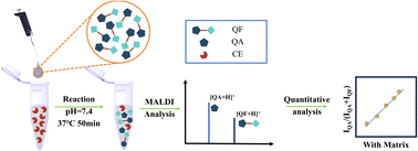 Graphical abstract: A rationally designed MALDI-TOF MS probe for rapid quantitative analysis of carboxylesterase activity