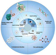 Graphical abstract: Recent advances in upconversion nanoparticles for biomolecule detection: a review