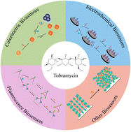 Graphical abstract: Aptamer-based biosensors for tobramycin