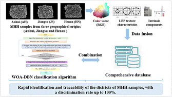 Graphical abstract: Study on the origin traceability of Menthae Haplocalycis Herba in China based on multivariate data fusion combined with an artificial intelligence classification algorithm