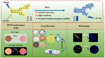 Graphical abstract: Sensitive detection of bisulfite by a novel quinoxaline-based fluorescent probe and its applications in food detection and bioimaging
