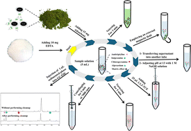 Graphical abstract: Matrix clean-up prior to extraction: a novel dispersive micro solid-phase strategy for determining some antidepressants in dam water, pharmaceutical wastewater, and follicular fluid