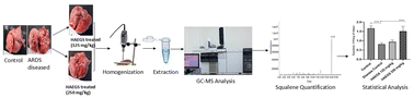 Graphical abstract: Quantitative estimation of squalene levels in acute respiratory distress syndrome (ARDS) and treated lung tissues by gas chromatography-mass spectrometry
