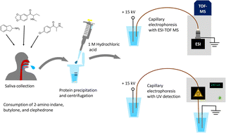 Graphical abstract: Evaluating possibilities for the determination of novel psychoactive substances in human saliva using capillary electrophoresis with UV detection and mass spectrometry