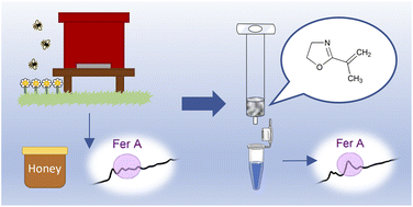 Graphical abstract: Synthesis and optimization of a 2-isopropenyl-2-oxazoline based polymer for enhanced phenolic acid extraction