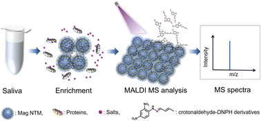 Graphical abstract: A novel nano-trapping matrix for enrichment and analysis of crotonaldehyde in smoker saliva