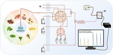 Graphical abstract: Rapid simultaneous determination of plant total flavonoids and polyphenols by merging zone flow injection spectrophotometry