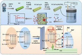 Graphical abstract: NIR-induced label-free subcutaneous PEC biosensor UC@Cu2O@TiO2 for detection of l-cysteine