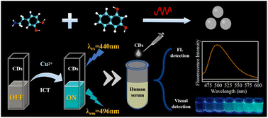 Graphical abstract: Unveiling the heterogeneity of serum copper ions in neurodegenerative diseases via a dopamine-based carbon nanoprobe