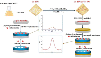 Graphical abstract: Amplified electrochemical detection of sulfadiazine based on Cu-BTC-encapsulated FeNi dual-atom catalysts with improved catalytic efficiency