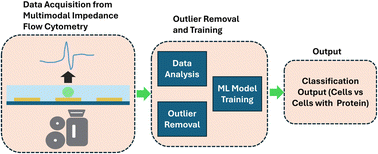 Graphical abstract: Enabling multiple cellular enumeration applications of a bioparticle sensing platform using machine learning
