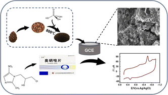 Graphical abstract: Conversion of biomass into porous carbon materials for efficient electrochemical detection of ornidazole