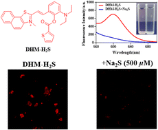 Graphical abstract: A novel fluorescent probe for hydrogen sulfide imaging in living inflammatory models