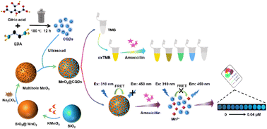 Graphical abstract: The visual detection of amoxicillin using a dual-mode probe based on CQD-doped MnO2 nanospheres
