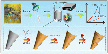 Graphical abstract: High-performance aptapipette sensor for ultrasensitive and specific detection of perfluorooctanoic acid in environmental water samples