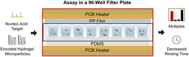 Graphical abstract: Using encoded hydrogel microparticles in a 96-well filter plate system for enhanced rinsing efficiency in multiplexed nucleic acid detection