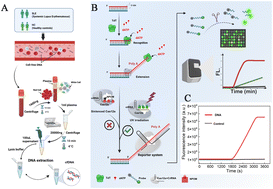 Graphical abstract: Light-controlled CRISPR–Cas12a one-pot platform for ultrasensitive cell-free DNA detection in systemic lupus erythematosus diagnosis