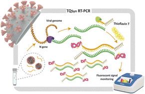 Graphical abstract: Diagnostic performance of thioflavin T in one-step RT-PCR for detection of a viral RNA