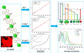 Graphical abstract: A dual ligand Eu-MOF with high stability and quantum yield for the detection of trace Fe3+, CrO42− and Cr2O72− in aqueous environments