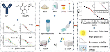 Graphical abstract: Enhanced detection of N-acetylneuraminic acid using a chemiluminescence enzyme-linked immunosorbent assay