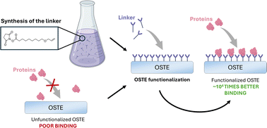 Graphical abstract: Enhanced protein binding to off-stoichiometry thiol–ene microfluidic devices: a novel linker approach