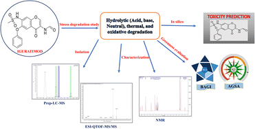 Graphical abstract: Stability-indicating study of iguratimod: isolation and characterization of a potential degradant using preparative HPLC-MS, LC-HRMS, and NMR techniques