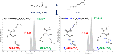 Graphical abstract: Gamma-hydroxybutyric acid (GHB) derivatization with N-(3-dimethylaminopropyl)-N′-ethylcarbodiimide (EDC): LC-HRAM-Orbitrap-MS characterization of GHB and deuterated GHB derivatives and application to blood, urine, and hair analysis