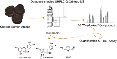Graphical abstract: Comprehensive database enables the UHPLC-Q-orbitrap-MS/MS method to discover 16 “overlooked” compounds and supply three new pharmacopoeia quality-markers for charred Semen Arecae (Jiaobinglang)