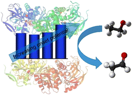 Graphical abstract: Single-fiber versus macroscale electrodes: enzyme loading and impacts on bioelectronic applications in flexible biodevices
