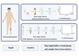 Graphical abstract: An improved LC-MS/MS-based assay for the quantification of vancomycin in human plasma and bone tissue from osteomyelitis patients