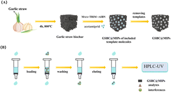 Graphical abstract: Preparation of garlic-straw biochar-based surface molecularly imprinted polymers for solid-phase extraction of neonicotinoid insecticides from agricultural products