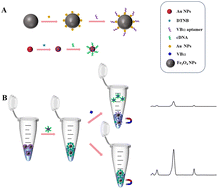 Graphical abstract: Determination of vitamin B12 in blood samples using a SERS aptasensor based on dual-layer core–satellite plasmonic nanostructures