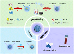 Graphical abstract: A silica coated AgNCs fluorescence sensor for detection of cefixime in pharmaceutical products and biological samples