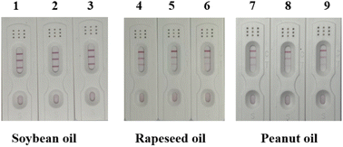 Graphical abstract: Colloidal gold immunochromatographic assay for on-site butylated hydroxyanisole detection in vegetable oil
