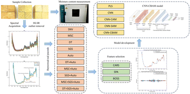 Graphical abstract: CNN-CBAM prediction model for moisture content determination of raw materials for wood-based panels based on near-infrared spectroscopy
