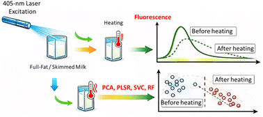 Graphical abstract: Laser-induced fluorescence for detecting thermal degradation of a biological fluid model: a systematic study applying chemometrics