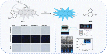 Graphical abstract: A FRET-based NCA fluorescent probe for highly sensitive and selective detection of hydrogen sulfide