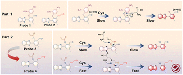 Graphical abstract: Acrolein-integrated ESIPT probe for NIR fluorescence detection of cysteine with ultrafast response and sub-nanomolar sensitivity