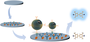 Graphical abstract: A Pt-loaded magnetic covalent organic framework with dual enzymatic activity for nanozyme-linked immunosorbent assay of SEB
