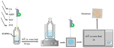 Graphical abstract: Development of a cellulose acetate-based polymeric membrane for the extraction and quantification of fluoxetine and norepinephrine in biological samples