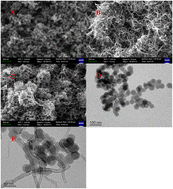 Graphical abstract: Zn-MOF-8-based nitrogen-doped mesoporous carbon/multi-walled carbon nanotube-modified electrodes for highly sensitive detection of isoquercitrin