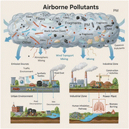 Graphical abstract: Airborne microplastics: environmental prevalence, human health risks, and mitigation strategies