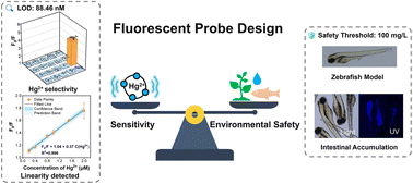 Graphical abstract: Balancing sensitivity and environmental safety in fluorescent probe design: improved ethanol-thermal carbon dots enable a leap in mercury(ii) detection and zebrafish-assessed safety