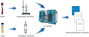 Graphical abstract: A candidate reference measurement procedure for aldosterone measurement in human serum and urine on the basis of isotope dilution liquid chromatography-tandem mass spectrometry
