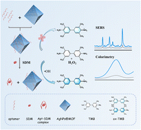 Graphical abstract: An aptamer sensor based on peroxidase-like AgNPs@MOF for SERS and colorimetric dual-mode detection of sulfadimethoxine