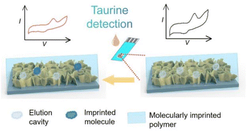 Graphical abstract: Rapid miniaturized electrochemical biosensor based on screen-printed technology for early-stage taurine detection through manganese molybdate nanosheets and bionicimprinted nanofilms