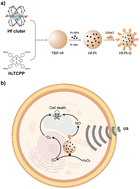 Graphical abstract: Porphyrin-based nanoscale metal–organic framework nanocarriers entrapping platinum nanoparticles and S-nitrosoglutathione for sonodynamic therapy in hypoxic tumors