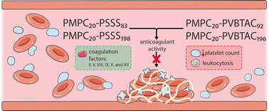 Graphical abstract: Evaluation of the anticoagulant activity and safety of PMPC–PSSS and PMPC–PVBTAC block copolymers